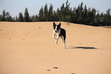 《华纳大乱斗》简化解锁新角色方式：仅需正常游玩即可